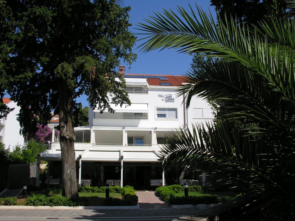 Apartment Alba